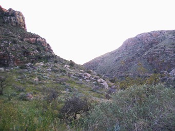Molina Canyon at sunset